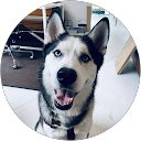 Jarrod F. profile picture